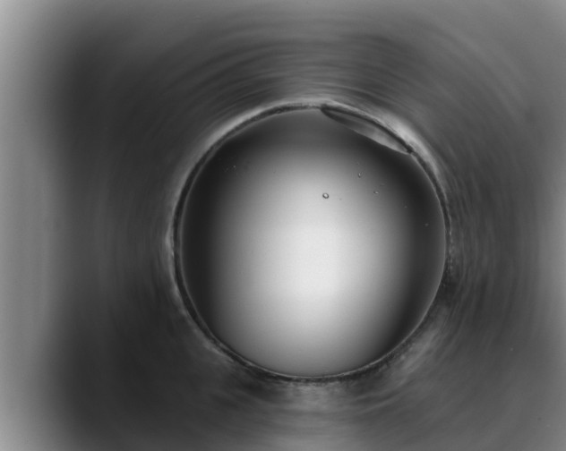 X0000090420951200707201116