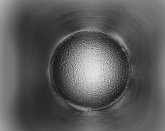 X0000090420952200707201116