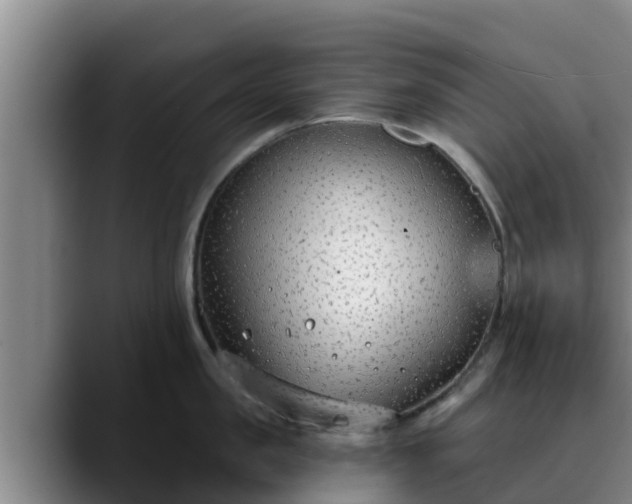 X0000090420957200707201116