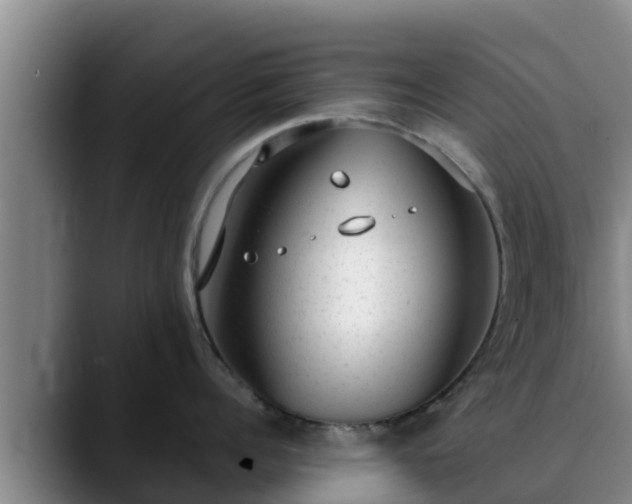 X0000090420960200707201116