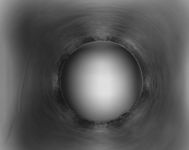 X0000090420964200707201115