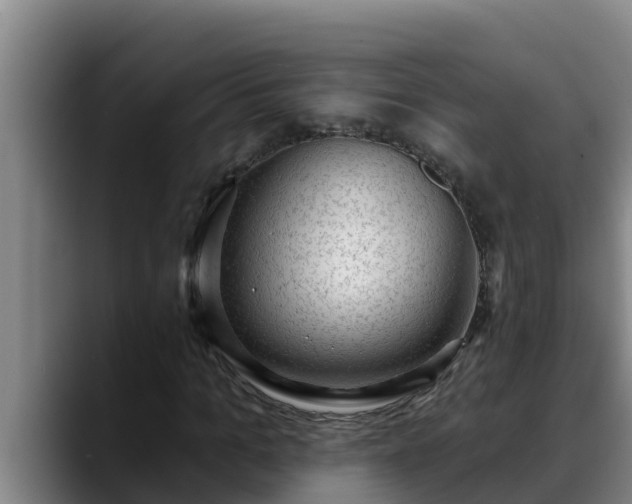 X0000090420965200707201115