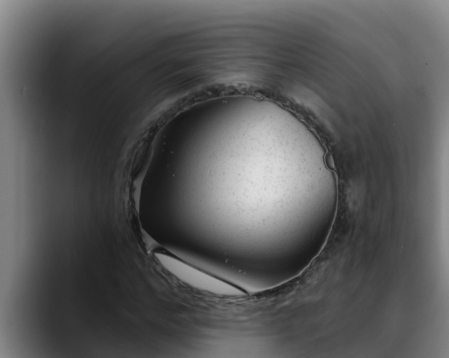 X0000090420968200707201115