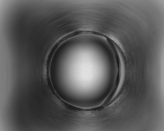 X0000090420976200707201115