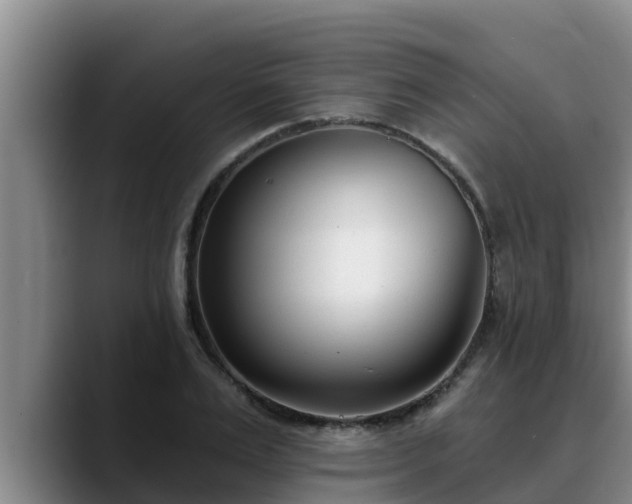 X0000090420983200707201115