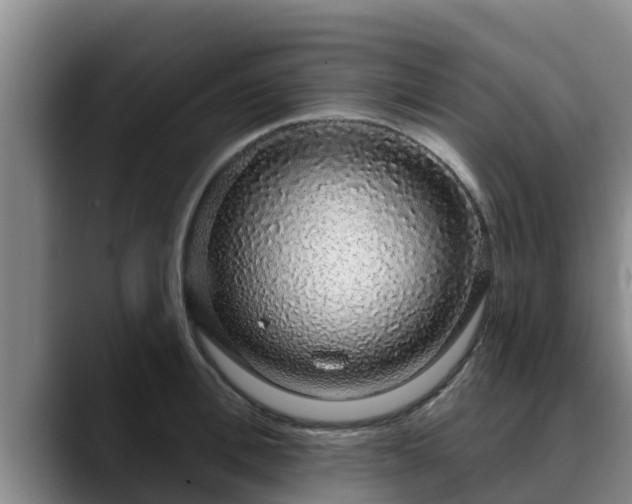 X0000090420996200707201115