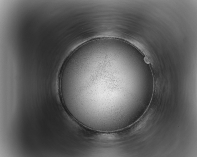 X0000090420998200707201115