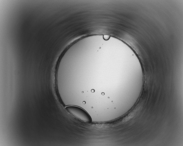 X0000090421000200707201115