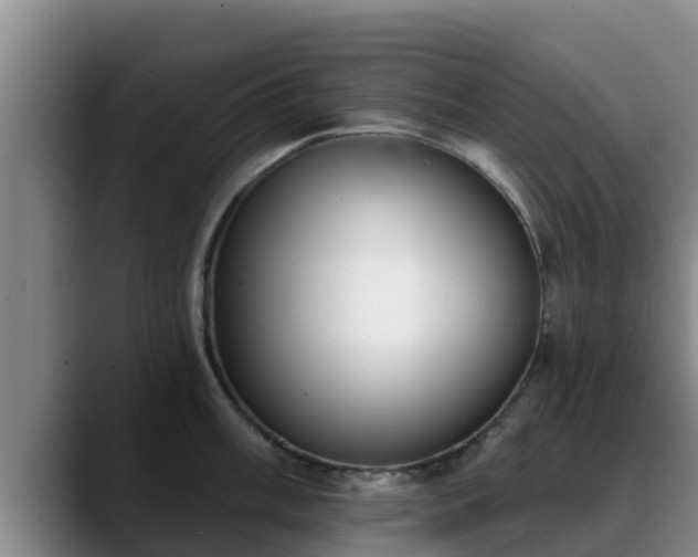 X0000090421003200707201115