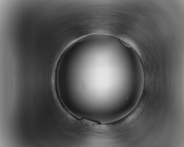 X0000090421007200707201115