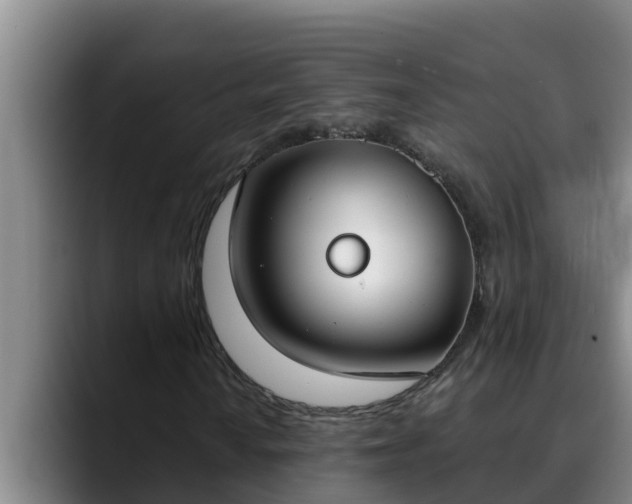 X0000090421010200707201114