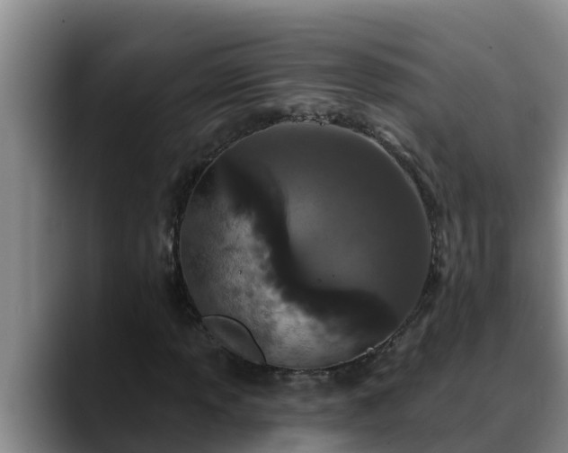 X0000090421013200707201114