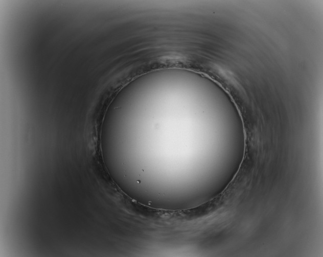 X0000090421015200707201114