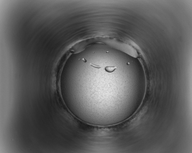 X0000090421019200707201114