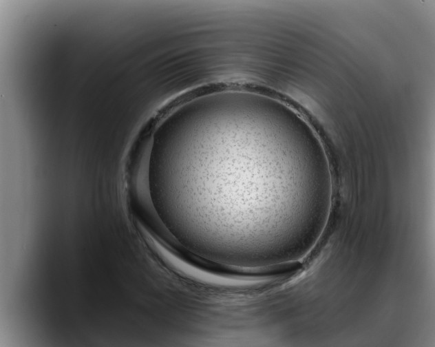 X0000090421022200707201114