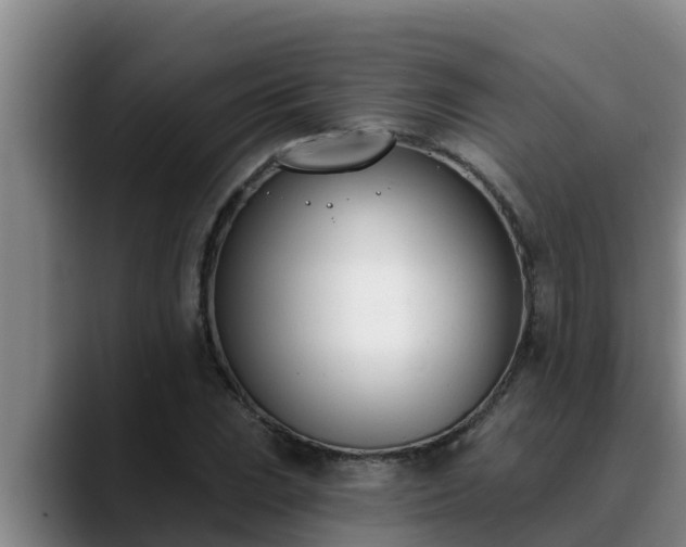 X0000090421023200707201114