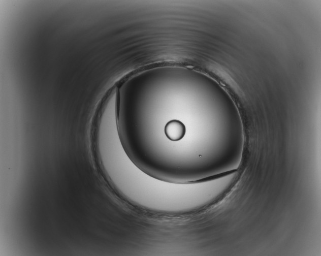 X0000090421026200707201114