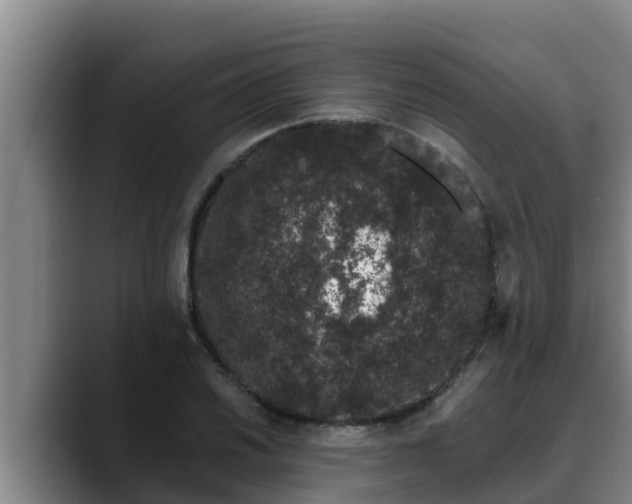 X0000090421030200707201114