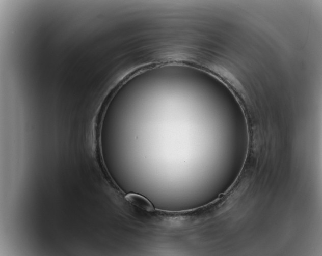 X0000090421031200707201114