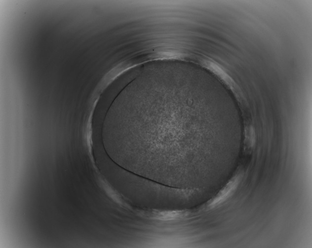 X0000090421034200707201114