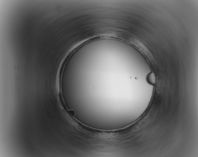 X0000090421036200707201114