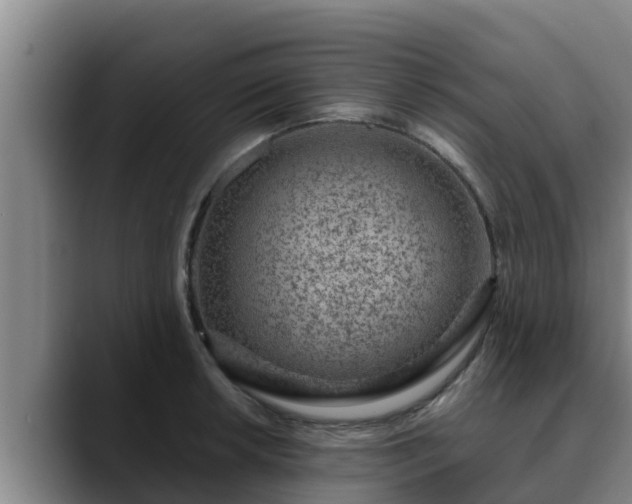 X0000090421042200707201114