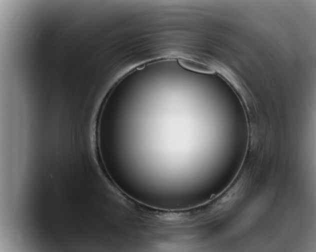 X0000090421048200707201115