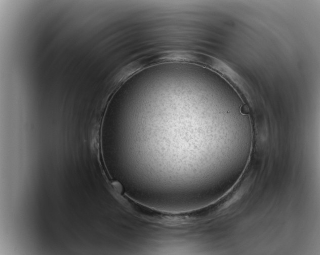 X0000090421049200707201115