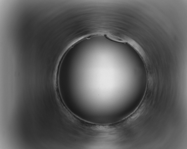 X0000090421052200707201115