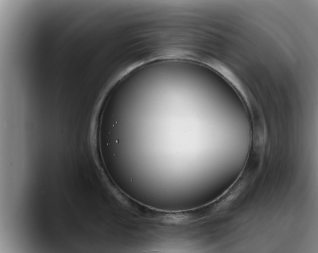 X0000090421053200707201115