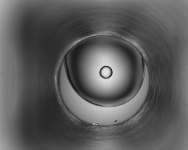 X0000090421054200707201115