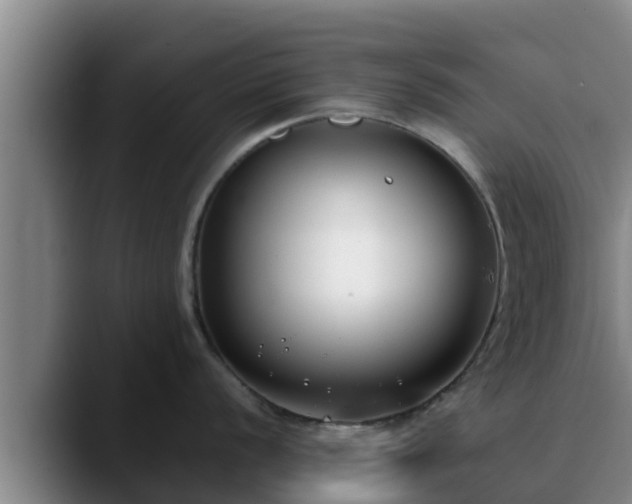 X0000090421056200707201115