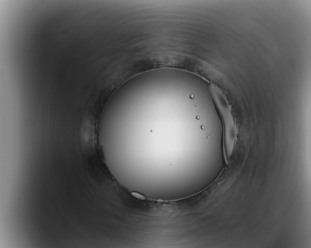 X0000090421058200707201114