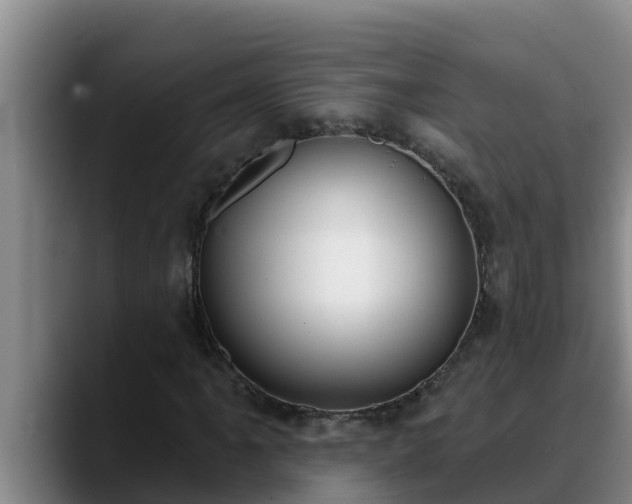 X0000090421061200707201114