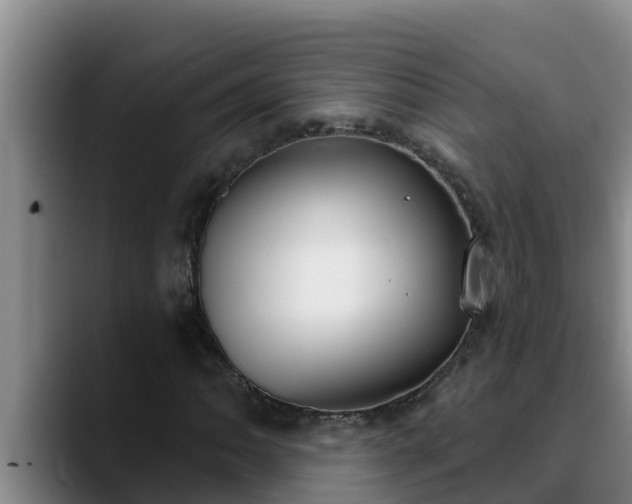 X0000090421062200707201114