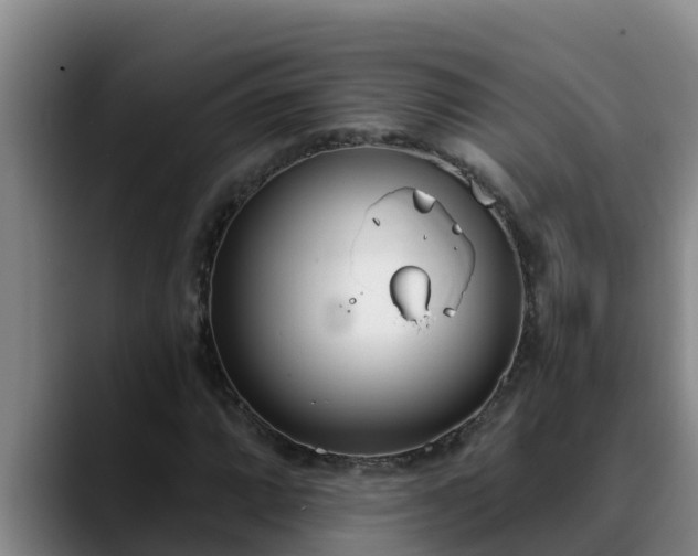 X0000090421064200707201114