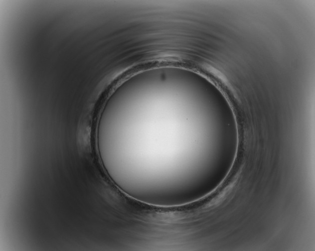 X0000090421066200707201114