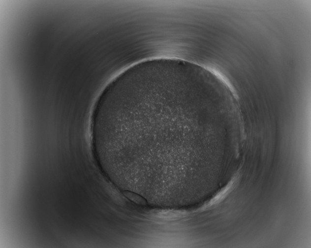 X0000090421077200707201114