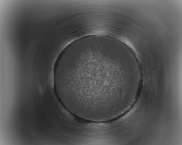 X0000090421079200707201114