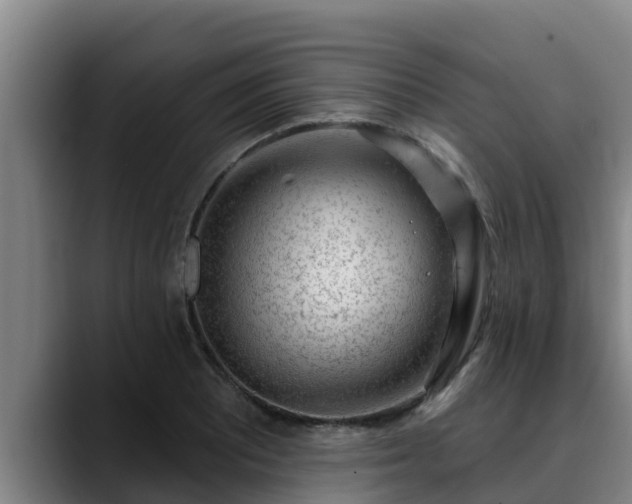 X0000090421081200707201114