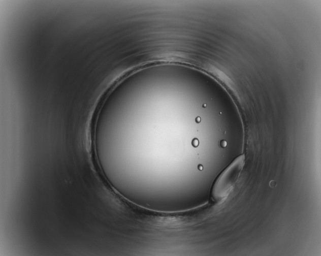 X0000090421082200707201114