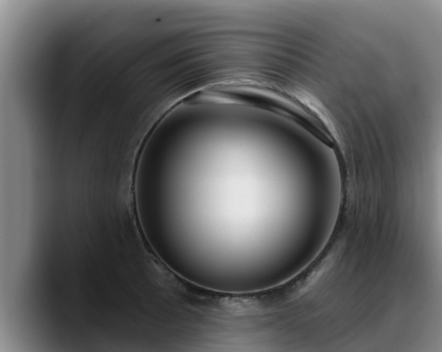 X0000090421089200707201114