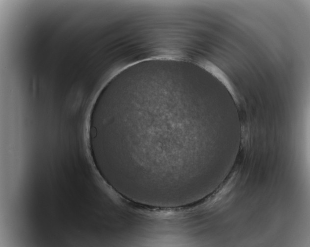 X0000090421099200707201114