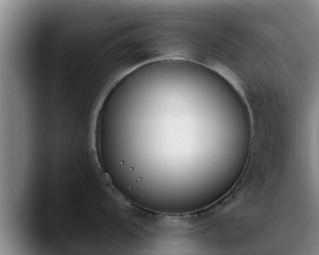 X0000090421104200707201114