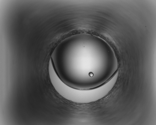 X0000090421110200707201113