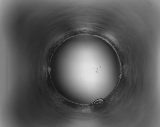 X0000090421111200707201113