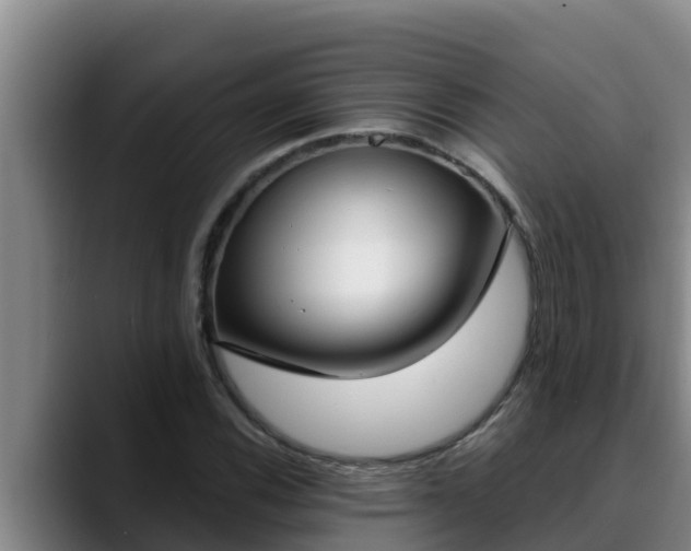 X0000090421116200707201113