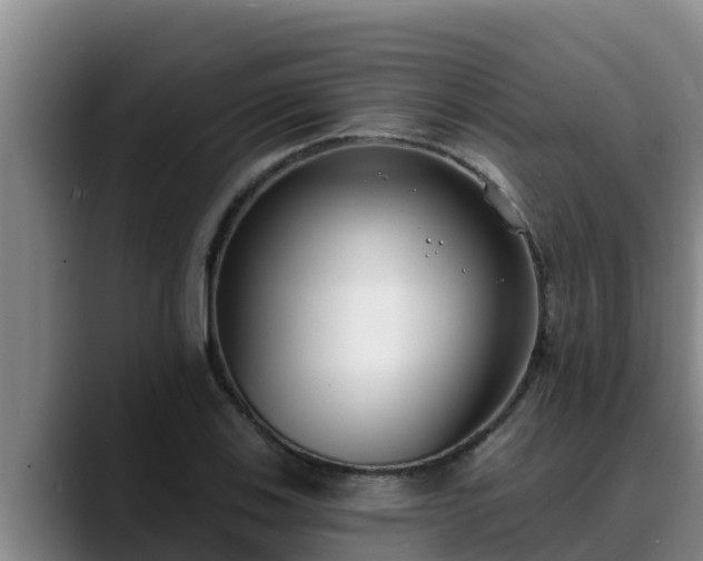 X0000090421123200707201113