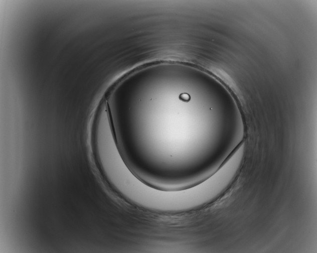 X0000090421128200707201113