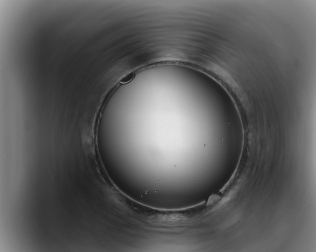 X0000090421129200707201113